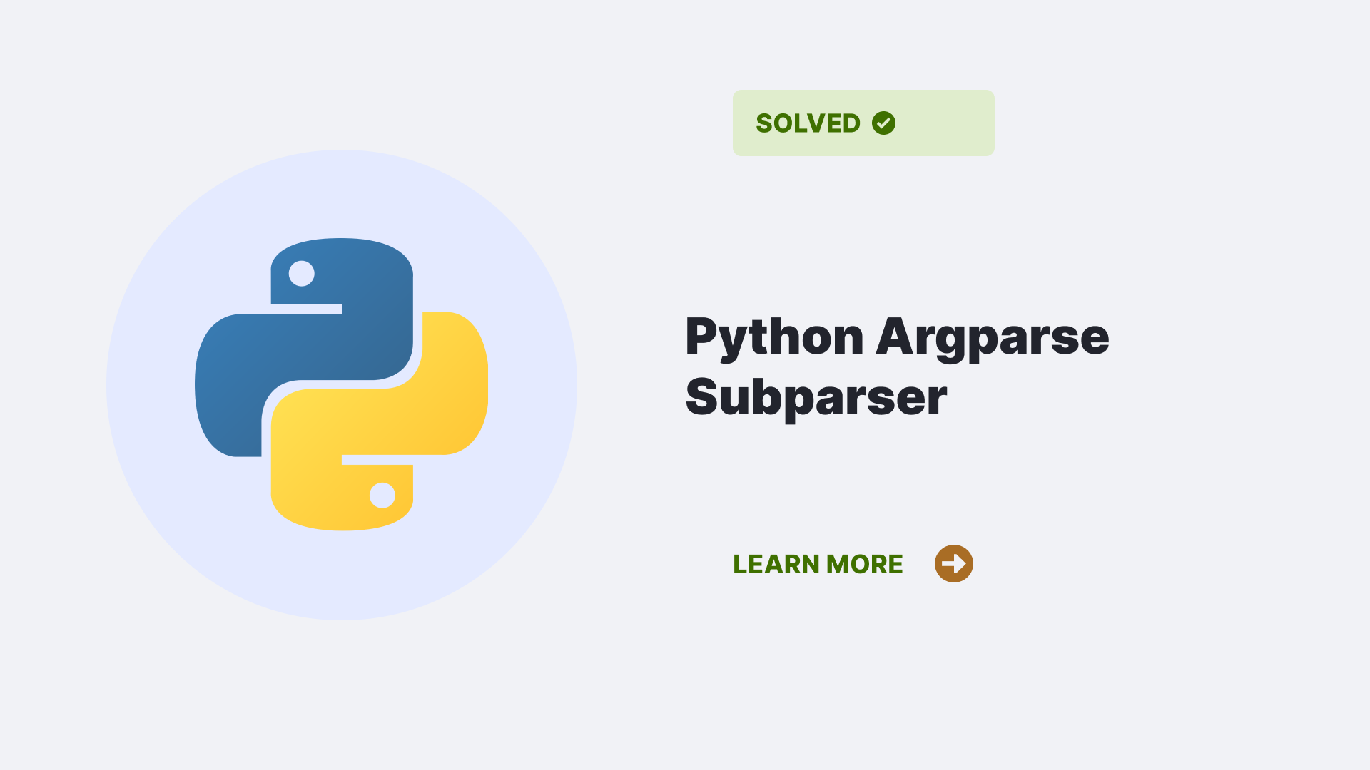 Python Argparse Subparser