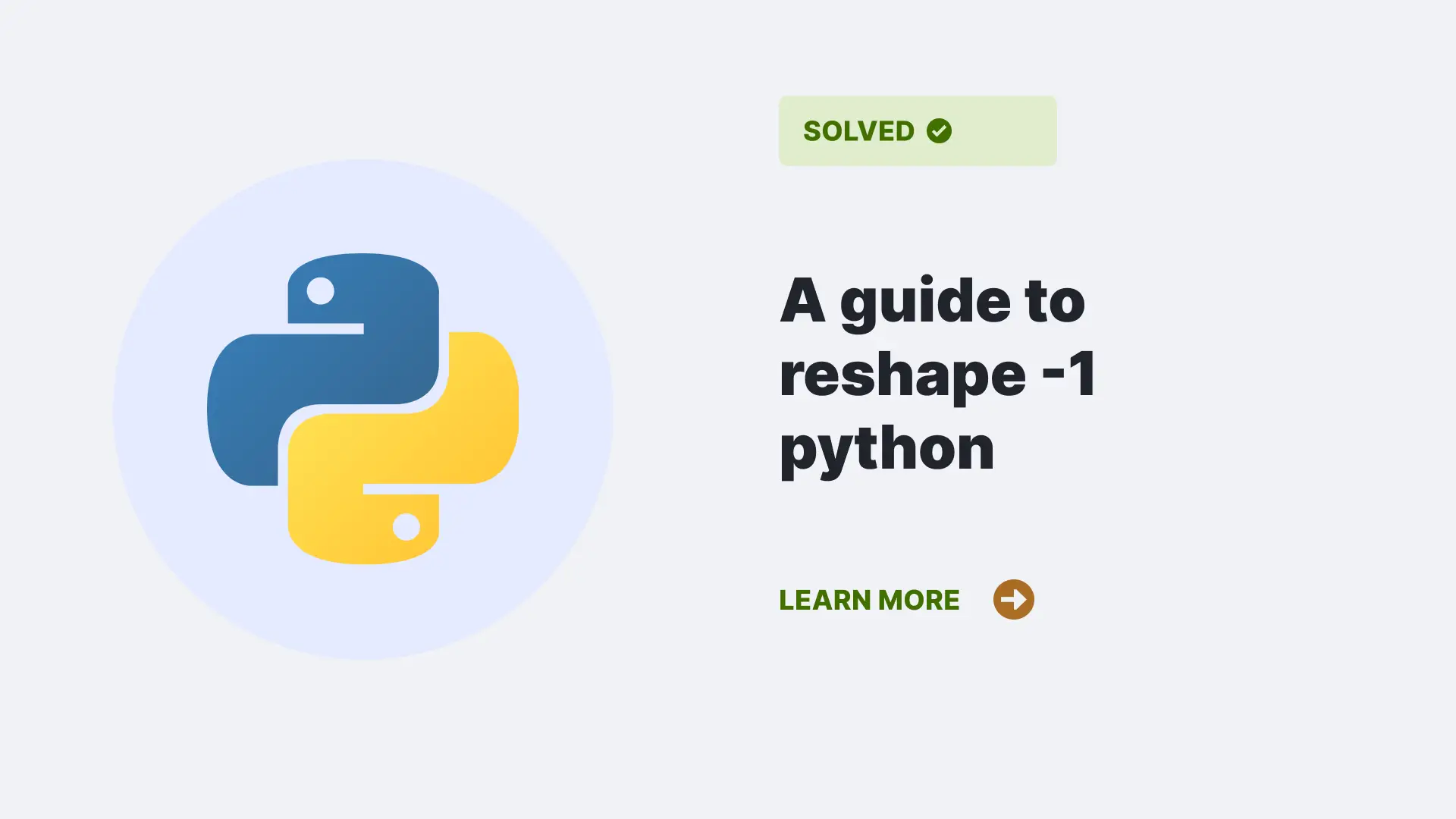 reshape -1 python