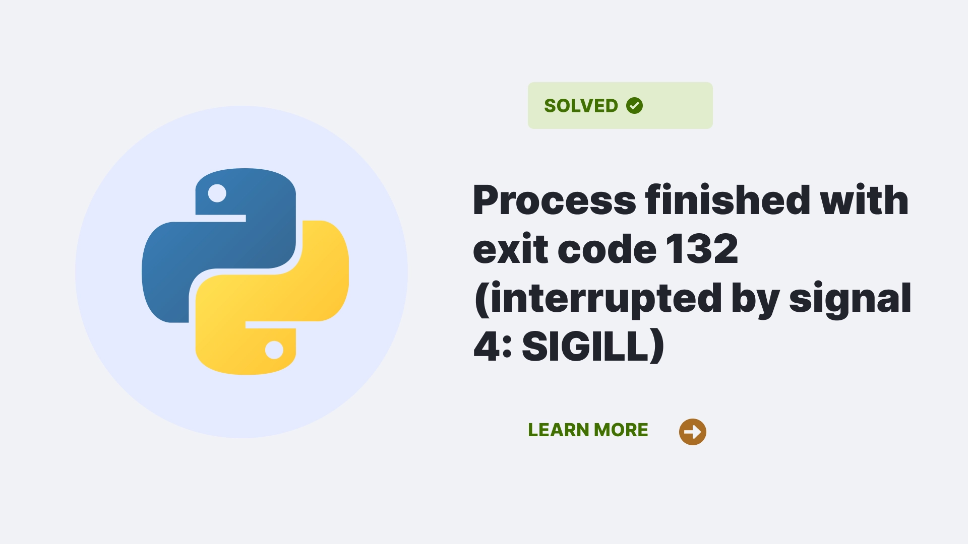 Process finished with exit code 132 (interrupted by signal 4: SIGILL)